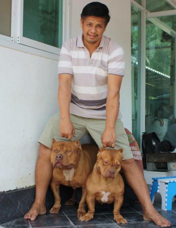 Photo of the dog