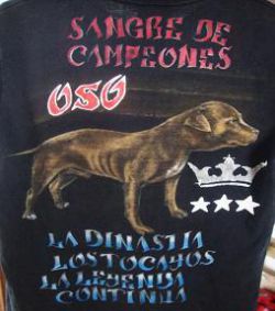 Photo of the dog