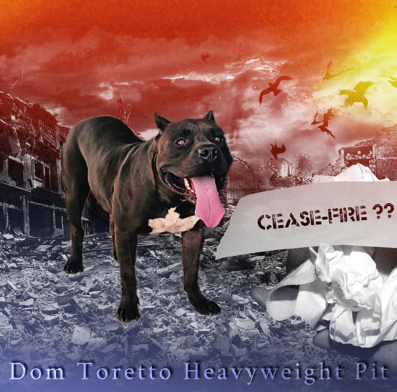 Photo of the dog