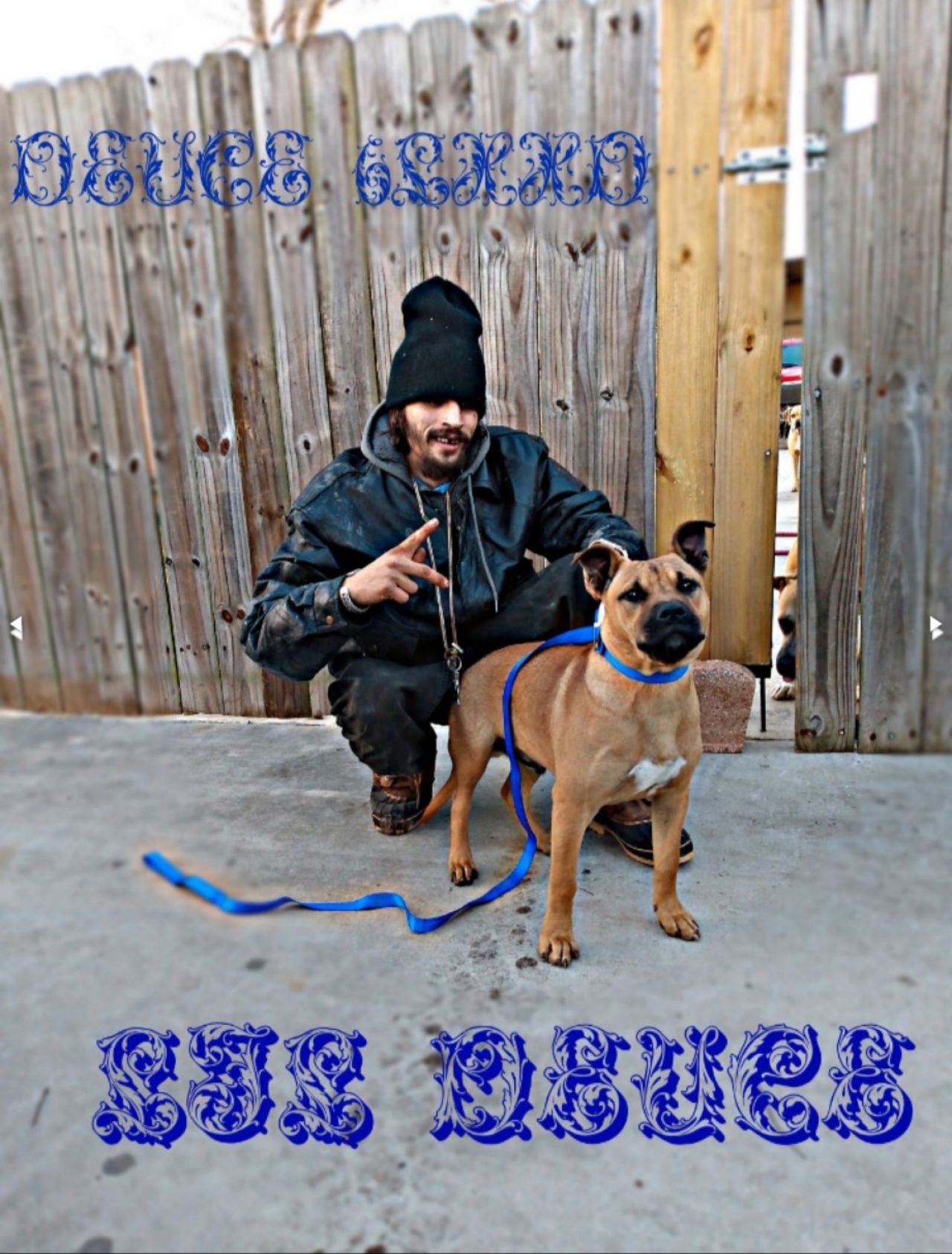 Photo of the dog