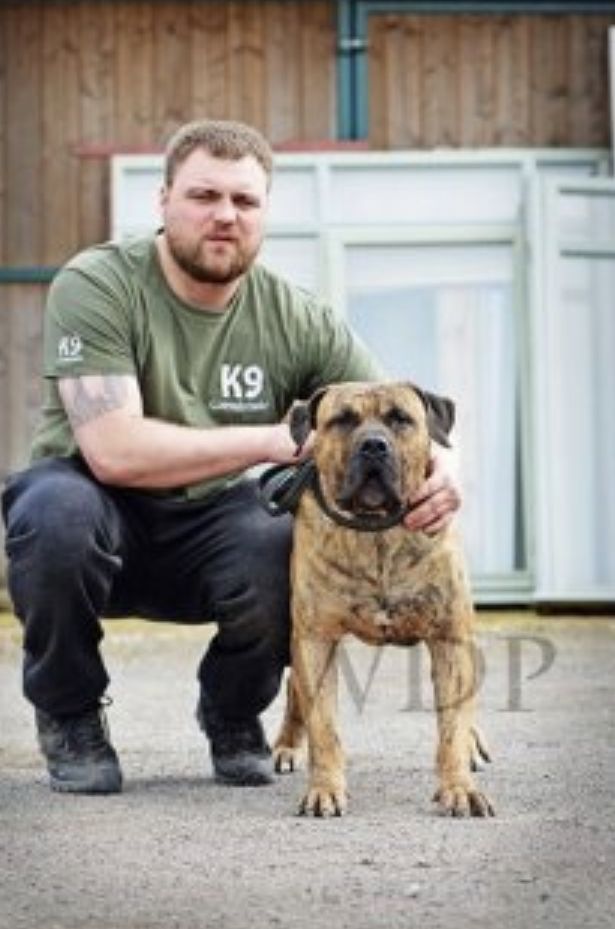Photo of the dog