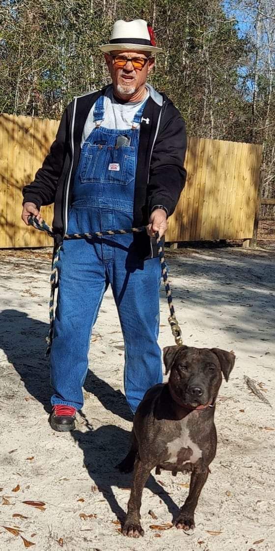Photo of the dog