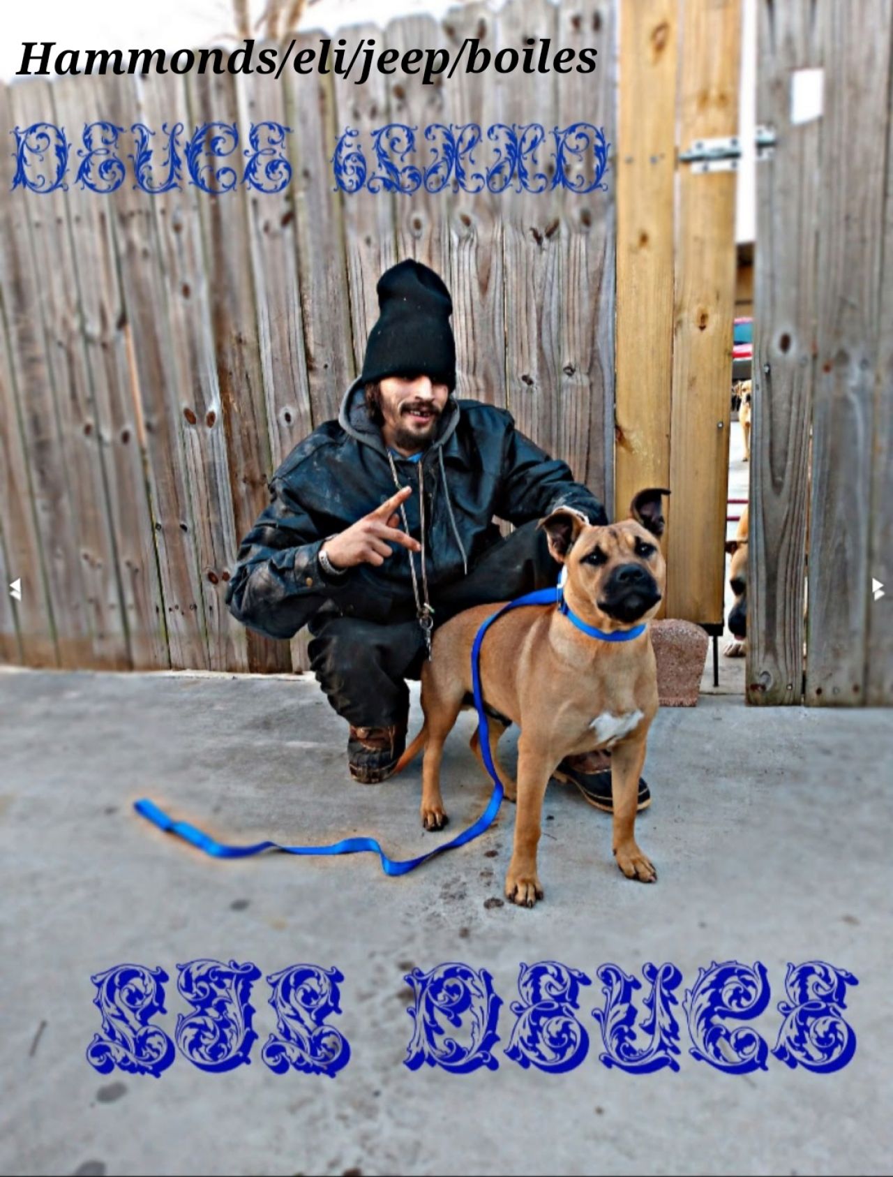 Photo of the dog