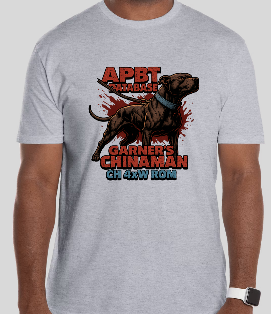 T-shirt example 2